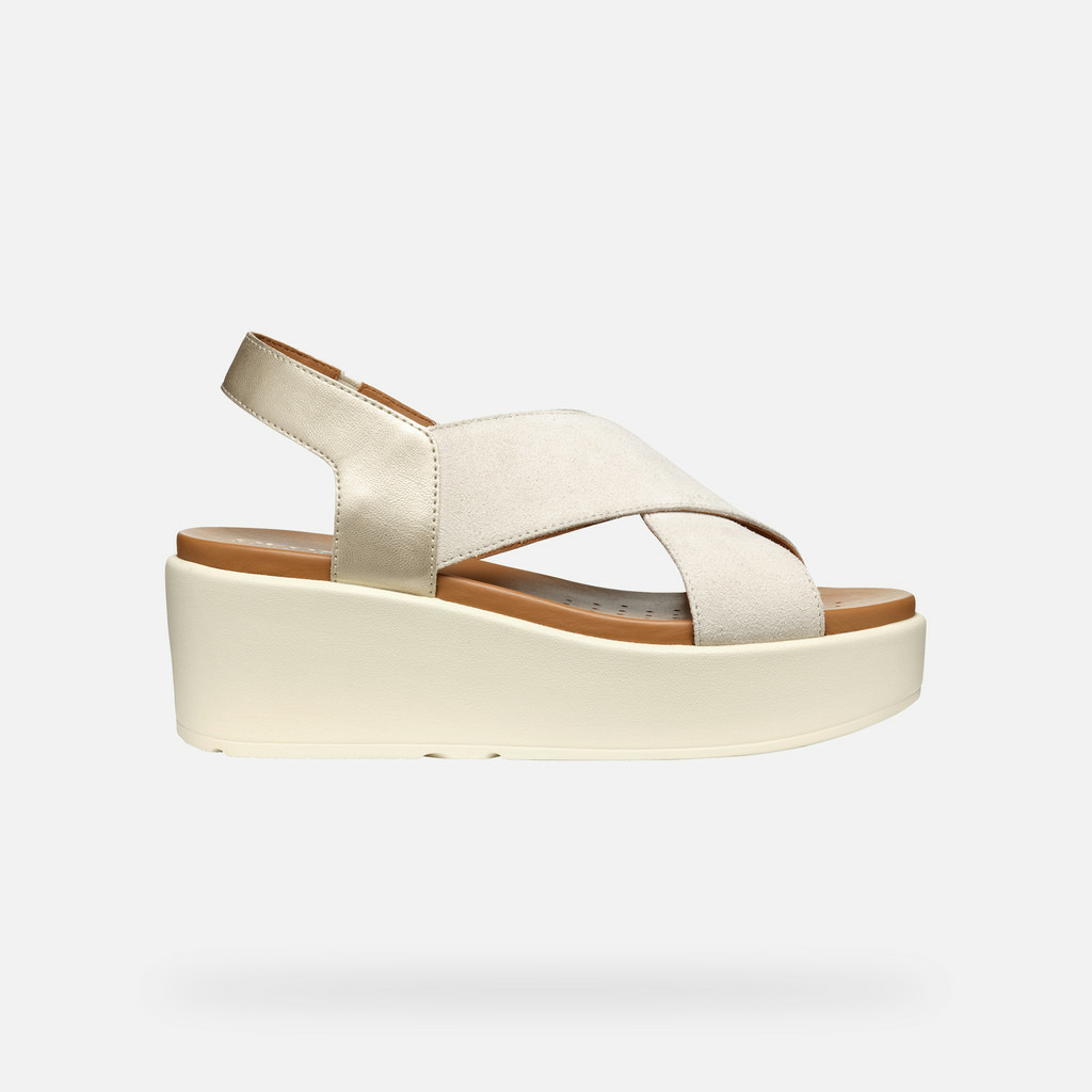 D XAND 2.2S
