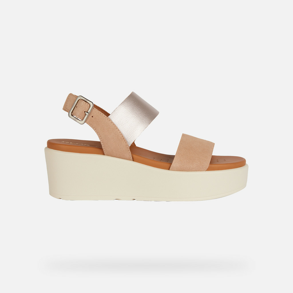 D XAND 2.2S