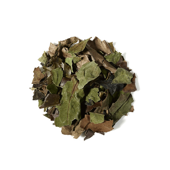 Thé Blanc Pai Mu Tan bio - Vrac 250gr