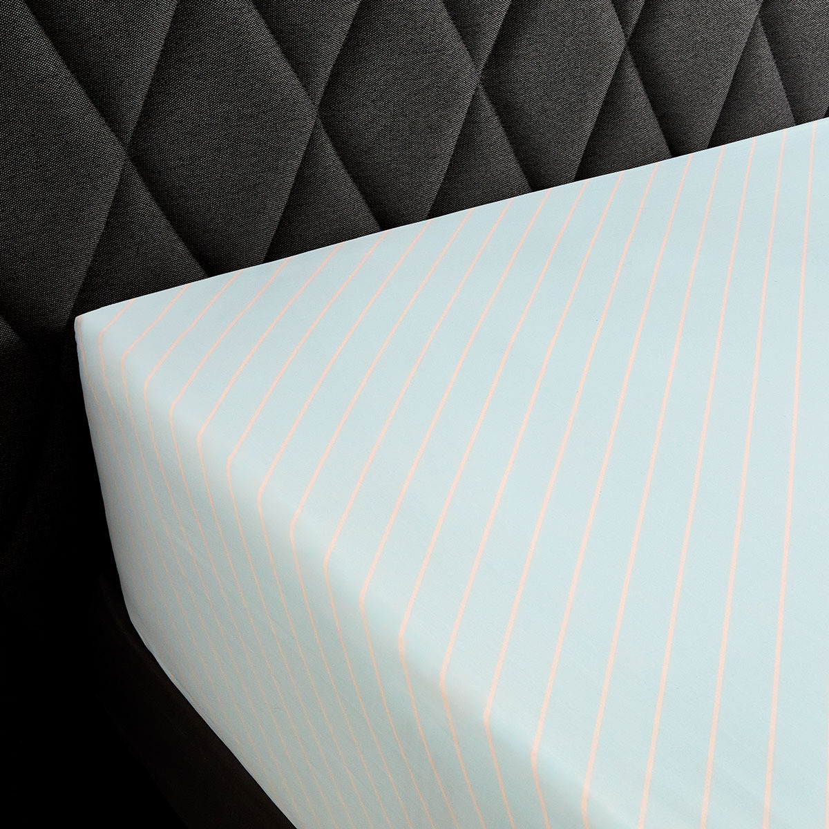 DRAP HOUSSE | Post Card