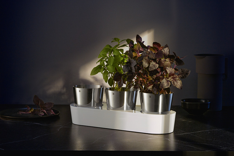 Jardin aromatique Gourmet lot de 3 pièces