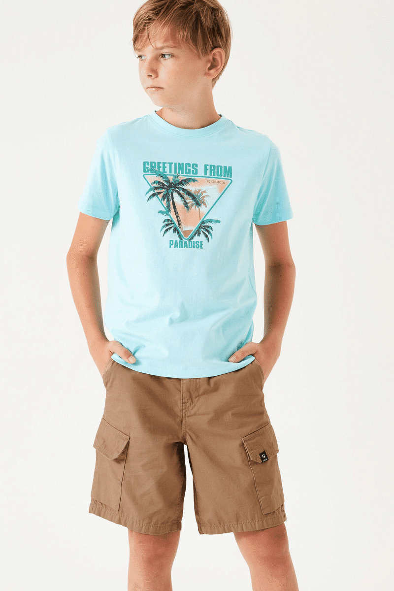 Boys Shorts Brown