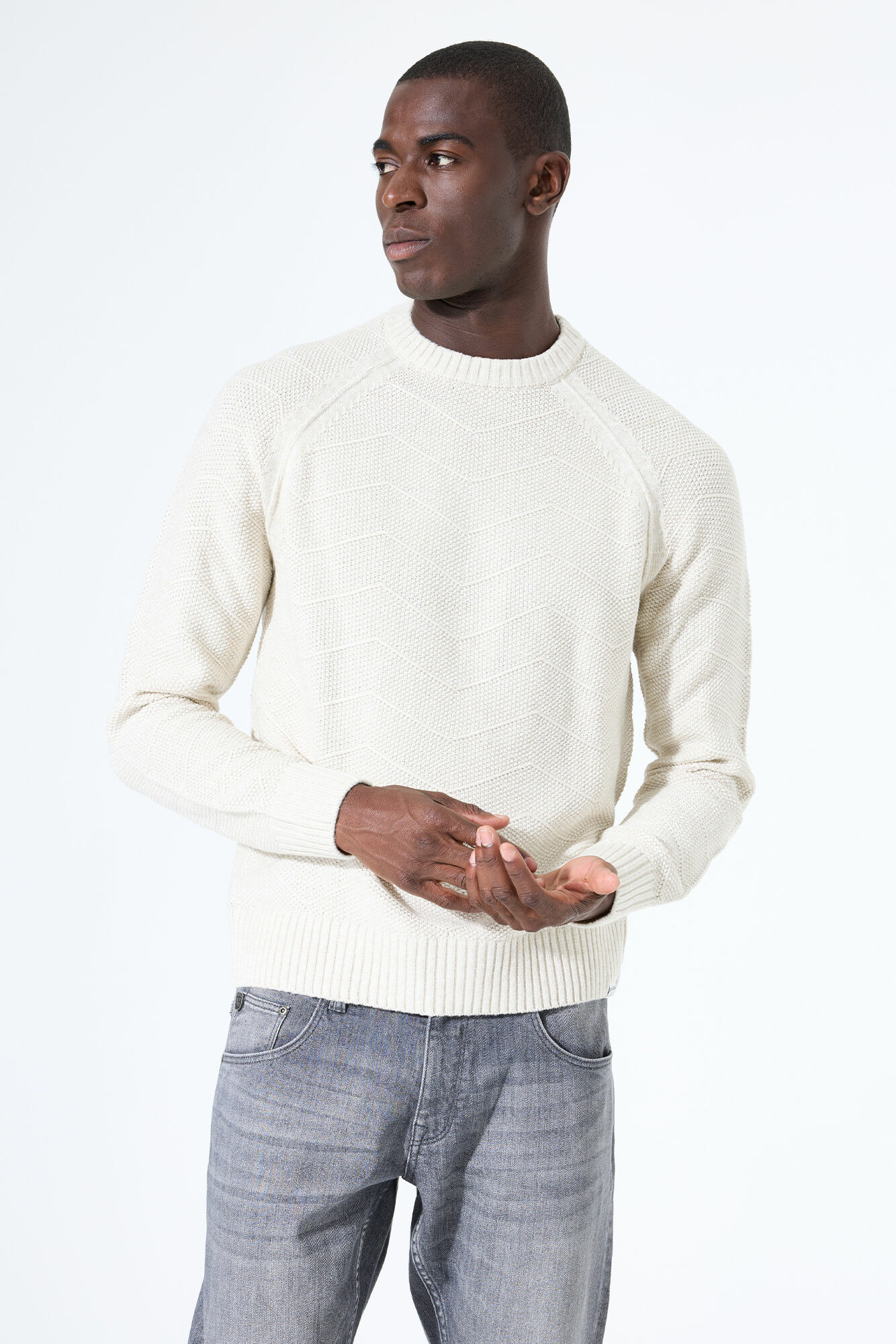Men Sweater Grey