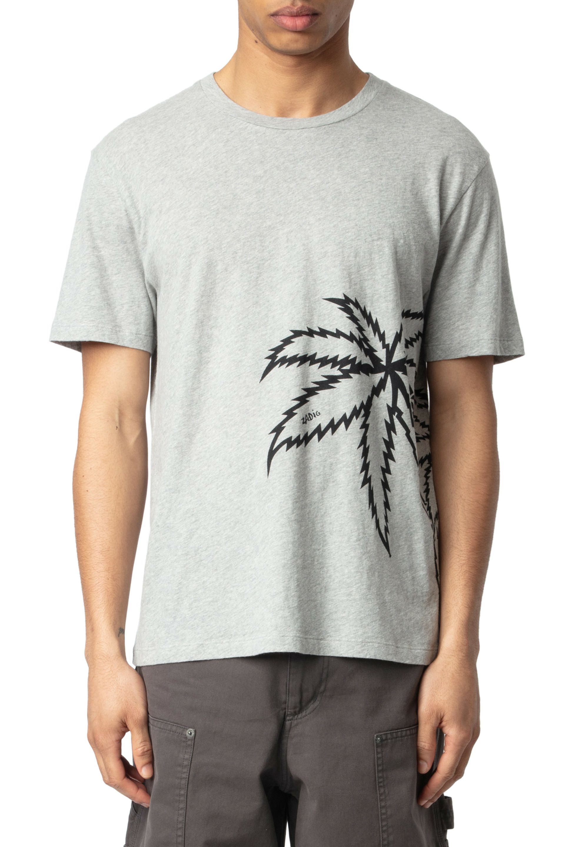 TOMMY CL BIG PALM TREE