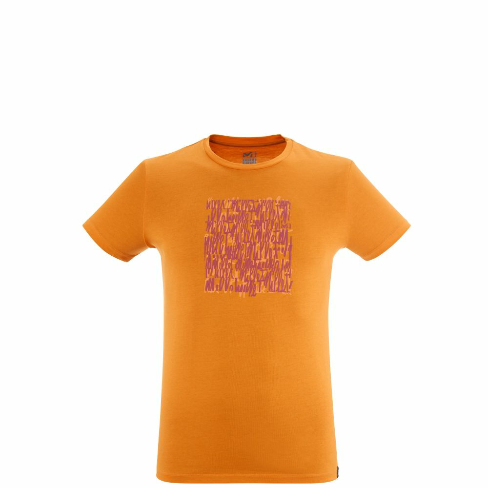 Top Transfert SCRIPT TS SS M