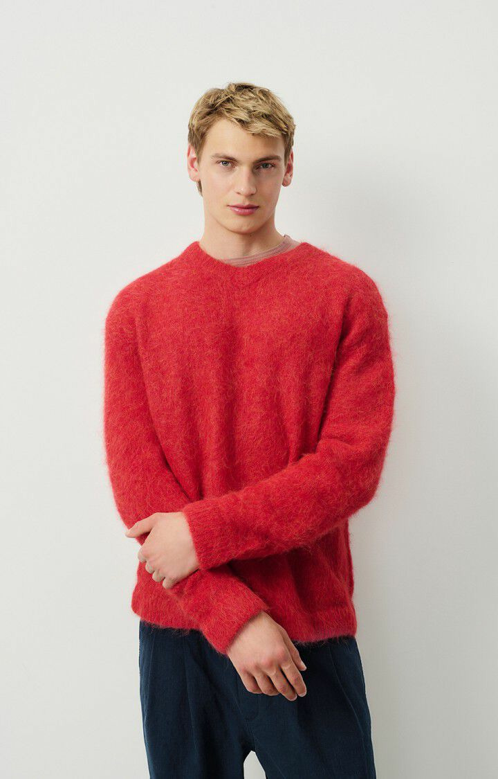 Pull homme Nuny