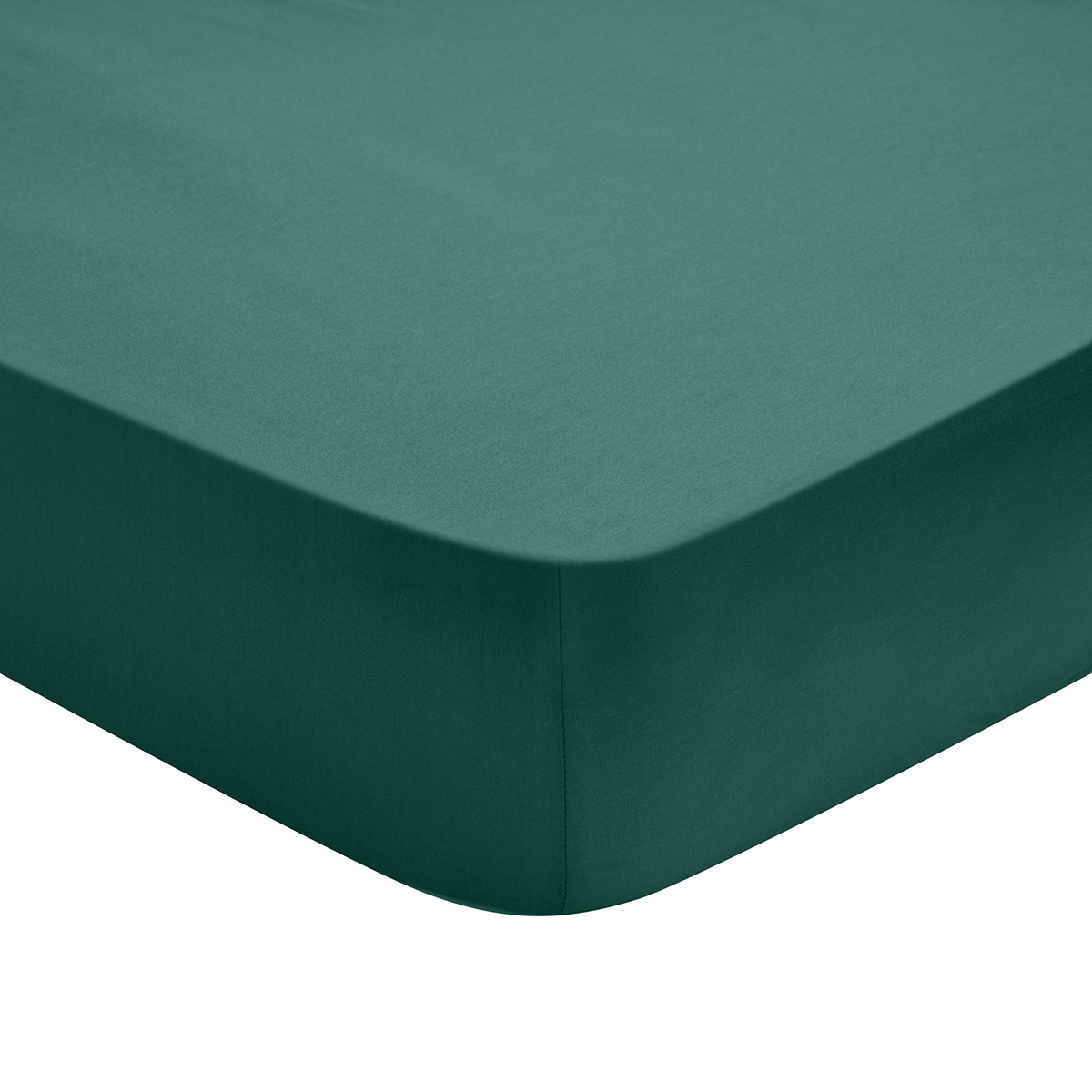 Drap Housse Influence Percale Forêt