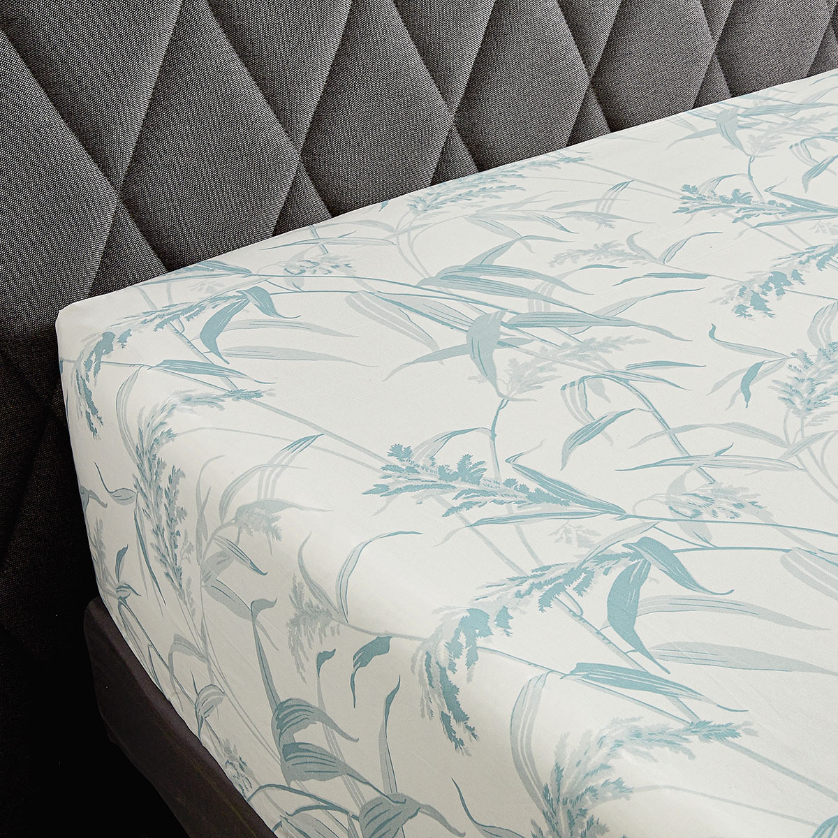 DRAP HOUSSE | Estampe