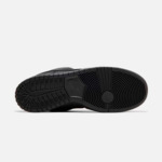 Nike SB Dunk Low Pro Triple Black