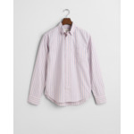 Regular Fit Striped Archive Oxford