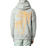 SANCHI MO PALM TREES