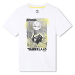 TEE-SHIRT MANCHES COURTES