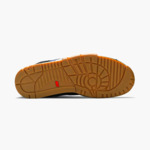 Nike Air Trainer SB 1 Polar Skate Co