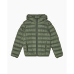 Doudoune - scarabée