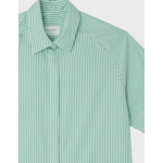 Chemise Dina rayée verte