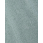 Chemise gaspard col américain en oxford gratté uni vert
