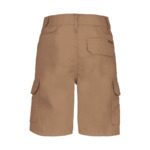 Boys Shorts Brown