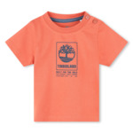 TEE-SHIRT MANCHES COURTES