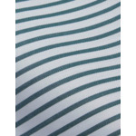 Chemise classique voyage rayée verte