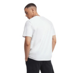 Star Chev Fill Tee Lavender Ash