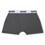 BOXER