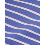Chemise semi-ajustée rayée bleue