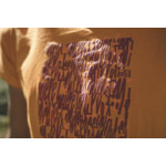 Top Transfert SCRIPT TS SS M