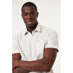 Men Shirt Brown