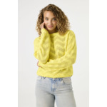 Women Sweater Yellow