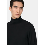 Pull Col Roulé En Laine Mérinos