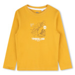 TEE-SHIRT MANCHES LONGUES