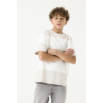 Boys T-shirt Grey