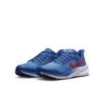 NIKE AIR ZOOM PEGASUS 39 NN GS