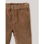 PANTALON  VELOURS 8W