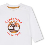 TEE-SHIRT MANCHES LONGUES