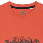 TEE-SHIRT MANCHES COURTES