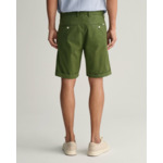Regular Fit Sunfaded Shorts
