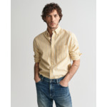 Regular Fit Striped Archive Oxford