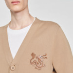 Cardigan dragon