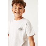Boys T-shirt Gray