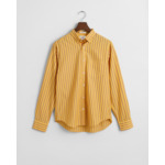 Regular Fit Striped Poplin Shirt
