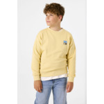 Boys Sweater Yellow