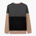 Sweat col rond tricolore gris anthracite