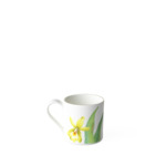 Amazonia tasse à moka/expresso