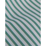 Chemise semi-ajustée rayée verte