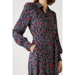 Robe rdanya