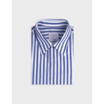 Chemise semi-ajustée rayée bleue