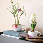 Rose Garden - Grande tasse sans sous-tasse