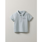POLO RAYE VERT