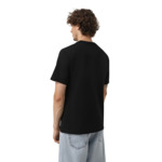 Back To School Star Chev Fill Papyrus